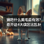 猫吃什么美毛最有效？避开这4大误区比乱补更重要（图4）