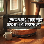 【宠医科普】狗狗真菌感染用什么药效果好?(图2) 【宠医科普】狗狗真菌感染用什么药效果好?(图2)