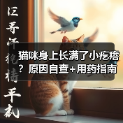 猫咪身上长满了小疙瘩?原因自查+用药指南(图1) 猫咪身上长满了小疙瘩?原因自查+用药指南(图1)