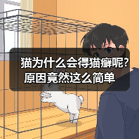 猫为什么会得猫癣呢?原因竟然这么简单(图4) 猫为什么会得猫癣呢?原因竟然这么简单(图4)