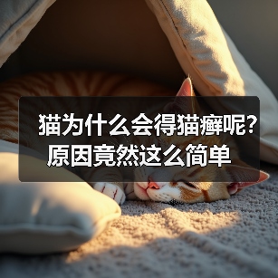 猫为什么会得猫癣呢?原因竟然这么简单(图2) 猫为什么会得猫癣呢?原因竟然这么简单(图2)