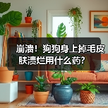 崩溃!狗狗身上掉毛皮肤溃烂用什么药?(图3) 崩溃!狗狗身上掉毛皮肤溃烂用什么药?(图3)