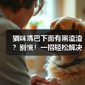 猫咪嘴巴下面有黑渣渣?别慌!一招轻松解决!(图1) 猫咪嘴巴下面有黑渣渣?别慌!一招轻松解决!(图1)