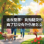 连夜整理！狗狗腿突然瘸了却没有外伤是怎么回事？（图4）