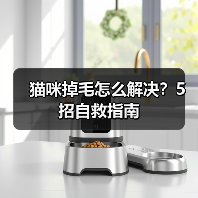 猫咪掉毛怎么解决?5招自救指南(图4) 猫咪掉毛怎么解决?5招自救指南(图4)