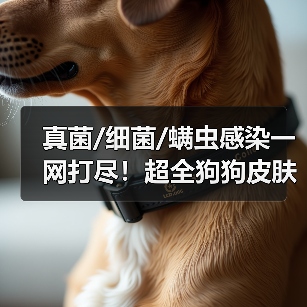 真菌/细菌/螨虫感染一网打尽!超全狗狗皮肤病用药手册(图4) 真菌/细菌/螨虫感染一网打尽!超全狗狗皮肤病用药手册(图4)