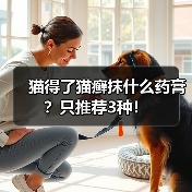 猫得了猫癣抹什么药膏?只推荐3种!(图3) 猫得了猫癣抹什么药膏?只推荐3种!(图3)