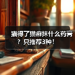 猫得了猫癣抹什么药膏?只推荐3种!(图4) 猫得了猫癣抹什么药膏?只推荐3种!(图4)
