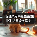 猫咪毛发干枯无光泽?吃对这些轻松解决(图2) 猫咪毛发干枯无光泽?吃对这些轻松解决(图2)