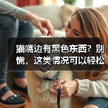 猫嘴边有黑色东西?别慌,这类情况可以轻松应对!(图3) 猫嘴边有黑色东西?别慌,这类情况可以轻松应对!(图3)