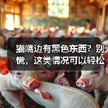 猫嘴边有黑色东西?别慌,这类情况可以轻松应对!(图1) 猫嘴边有黑色东西?别慌,这类情况可以轻松应对!(图1)