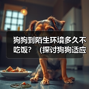 狗狗到陌生环境多久不吃饭?(探讨狗狗适应陌生环境后的饮食问题)(图2) 狗狗到陌生环境多久不吃饭?(探讨狗狗适应陌生环境后的饮食问题)(图2)