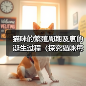 猫咪的繁殖周期及崽的诞生过程(探究猫咪每次产仔时间间隔和崽子的成长情况)(图4) 猫咪的繁殖周期及崽的诞生过程(探究猫咪每次产仔时间间隔和崽子的成长情况)(图4)