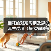 猫咪的繁殖周期及崽的诞生过程(探究猫咪每次产仔时间间隔和崽子的成长情况)(图3) 猫咪的繁殖周期及崽的诞生过程(探究猫咪每次产仔时间间隔和崽子的成长情况)(图3)