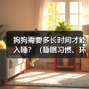 狗狗需要多长时间才能入睡？（睡眠习惯、环境因素和训练方式的影响）