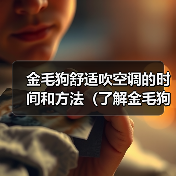 金毛狗舒适吹空调的时间和方法（了解金毛狗对空调的适应能力以及正确使用方法）（图3）