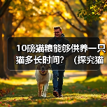 10磅猫粮能够供养一只猫多长时间？（探究猫粮的使用寿命与猫的需求，解答猫主人的疑惑）