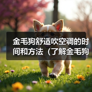 金毛狗舒适吹空调的时间和方法（了解金毛狗对空调的适应能力以及正确使用方法）（图2）