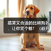 搞笑又合适的比熊狗名,让你笑个够!(避开尴尬,与狗名禁忌保持距离)(图4) 搞笑又合适的比熊狗名,让你笑个够!(避开尴尬,与狗名禁忌保持距离)(图4)