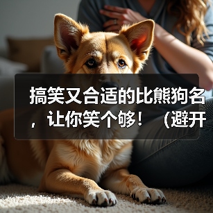 搞笑又合适的比熊狗名，让你笑个够！（避开尴尬，与狗名禁忌保持距离）