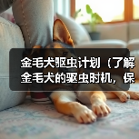 金毛犬驱虫计划（了解金毛犬的驱虫时机，保护宠物健康）（图1）