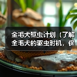 金毛犬驱虫计划（了解金毛犬的驱虫时机，保护宠物健康）（图2）