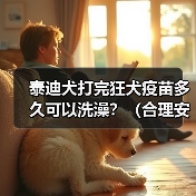 泰迪犬打完狂犬疫苗多久可以洗澡？（合理安排洗澡时间，确保泰迪犬的健康）（图1）