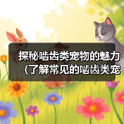 探秘啮齿类宠物的魅力（了解常见的啮齿类宠物及它们的特点）