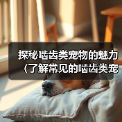 探秘啮齿类宠物的魅力(了解常见的啮齿类宠物及它们的特点)(图4) 探秘啮齿类宠物的魅力(了解常见的啮齿类宠物及它们的特点)(图4)