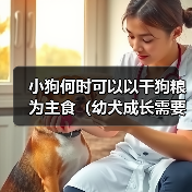 小狗何时可以以干狗粮为主食（幼犬成长需要的饮食转变时机及注意事项）（图3）