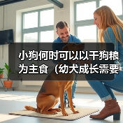 小狗何时可以以干狗粮为主食（幼犬成长需要的饮食转变时机及注意事项）（图1）
