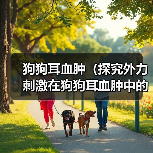狗狗耳血肿(探究外力刺激在狗狗耳血肿中的主要原因)(图2) 狗狗耳血肿(探究外力刺激在狗狗耳血肿中的主要原因)(图2)