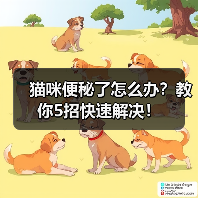 猫咪便秘了怎么办?教你5招快速解决!(图4) 猫咪便秘了怎么办?教你5招快速解决!(图4)