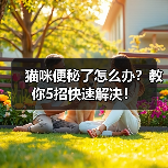 猫咪便秘了怎么办?教你5招快速解决!(图3) 猫咪便秘了怎么办?教你5招快速解决!(图3)