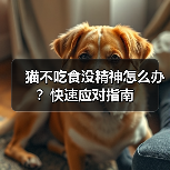 猫不吃食没精神怎么办?快速应对指南(图3) 猫不吃食没精神怎么办?快速应对指南(图3)
