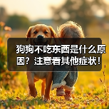 狗狗不吃东西是什么原因?注意看其他症状!(图4) 狗狗不吃东西是什么原因?注意看其他症状!(图4)
