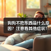 狗狗不吃东西是什么原因?注意看其他症状!(图3) 狗狗不吃东西是什么原因?注意看其他症状!(图3)