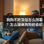 狗狗不吃饭是怎么回事?怎么提高狗狗的食欲?(图3) 狗狗不吃饭是怎么回事?怎么提高狗狗的食欲?(图3)