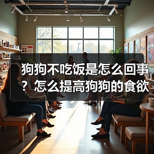 狗狗不吃饭是怎么回事？怎么提高狗狗的食欲？