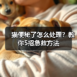 猫便秘了怎么处理?教你5招急救方法(图2) 猫便秘了怎么处理?教你5招急救方法(图2)