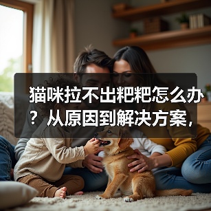 猫咪拉不出粑粑怎么办？从原因到解决方案，一篇搞定！