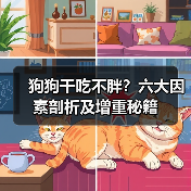 狗狗干吃不胖?六大因素剖析及增重秘籍(图2) 狗狗干吃不胖?六大因素剖析及增重秘籍(图2)