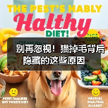 别再忽视!猫掉毛背后隐藏的这些原因(图1) 别再忽视!猫掉毛背后隐藏的这些原因(图1)