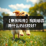【宠医科普】狗狗感冒用什么药比较好?(图4) 【宠医科普】狗狗感冒用什么药比较好?(图4)