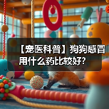 【宠医科普】狗狗感冒用什么药比较好?(图3) 【宠医科普】狗狗感冒用什么药比较好?(图3)