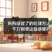 狗狗感冒了的处理方法,千万别喂这些感冒药!(图4) 狗狗感冒了的处理方法,千万别喂这些感冒药!(图4)