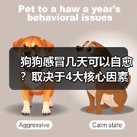 狗狗感冒几天可以自愈?取决于4大核心因素!(图4) 狗狗感冒几天可以自愈?取决于4大核心因素!(图4)