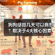 狗狗感冒几天可以自愈?取决于4大核心因素!(图1) 狗狗感冒几天可以自愈?取决于4大核心因素!(图1)