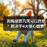 狗狗感冒几天可以自愈?取决于4大核心因素!(图2) 狗狗感冒几天可以自愈?取决于4大核心因素!(图2)