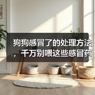 狗狗感冒了的处理方法,千万别喂这些感冒药!(图2) 狗狗感冒了的处理方法,千万别喂这些感冒药!(图2)